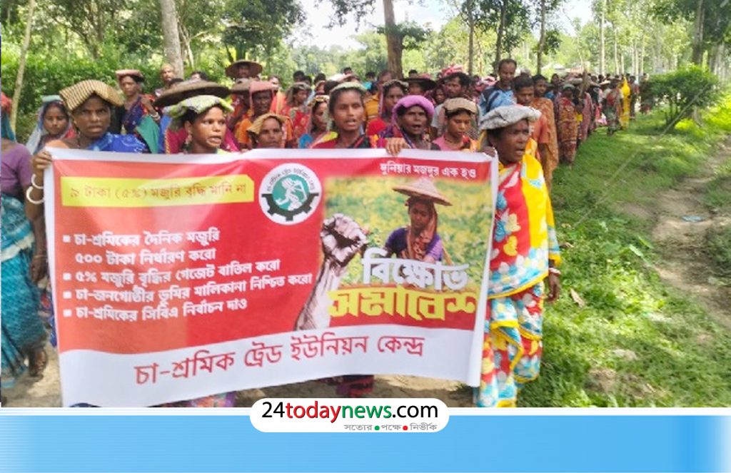 চা-শ্রমিকের মজুরি ৫ শতাংশ বাড়ানোর সিদ্ধান্ত প্রত্যাখ্যান, ৫০০ টাকা করার দাবিতে বিক্ষোভ