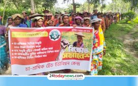 চা-শ্রমিকের মজুরি ৫ শতাংশ বাড়ানোর সিদ্ধান্ত প্রত্যাখ্যান, ৫০০ টাকা করার দাবিতে বিক্ষোভ
