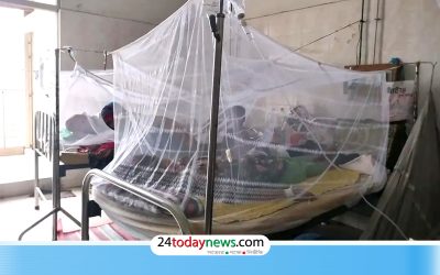 চলতি বছরে ডেঙ্গুতে মৃত্যু ১০০ ছাড়াল, আক্রান্ত ৩৭ হাজার
