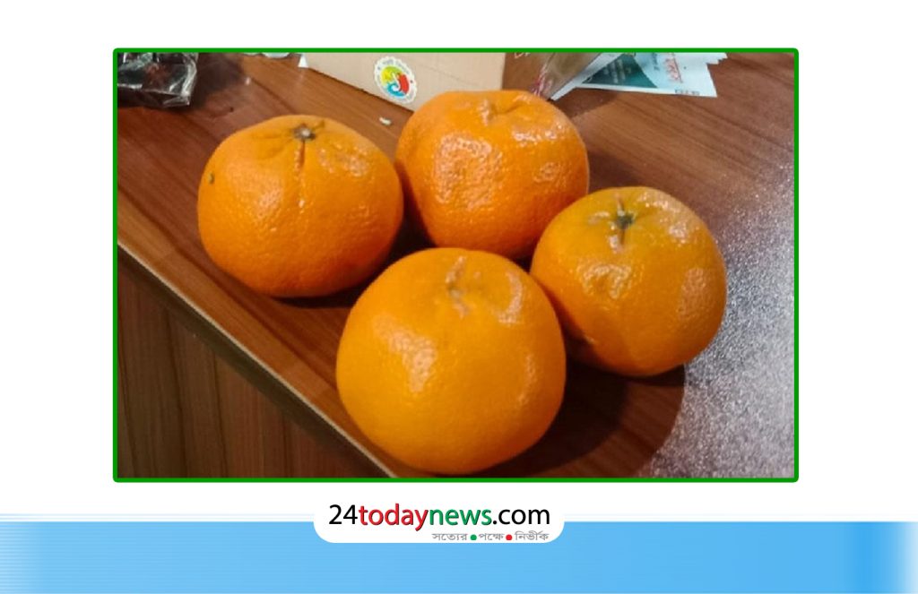 মৌলভীবাজারে এক হালি কমলা ৫০ হাজার টাকায় বিক্রি